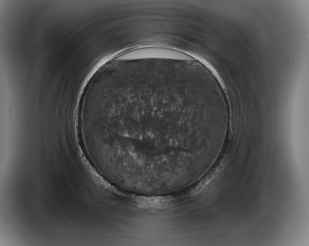 X0000087410949200705041245