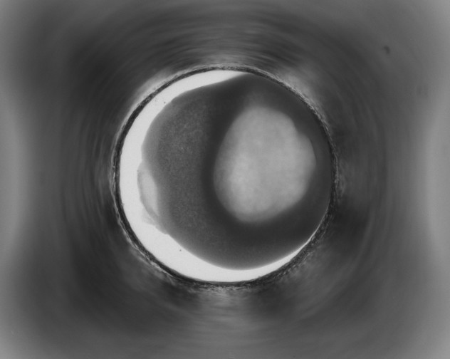 X0000087410950200705041245