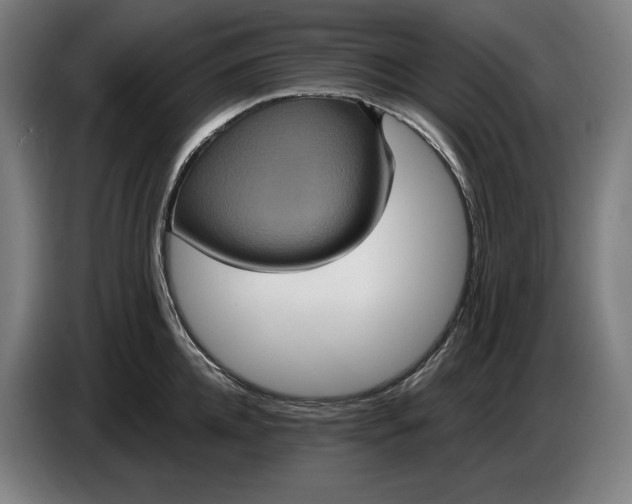 X0000087410952200705041245