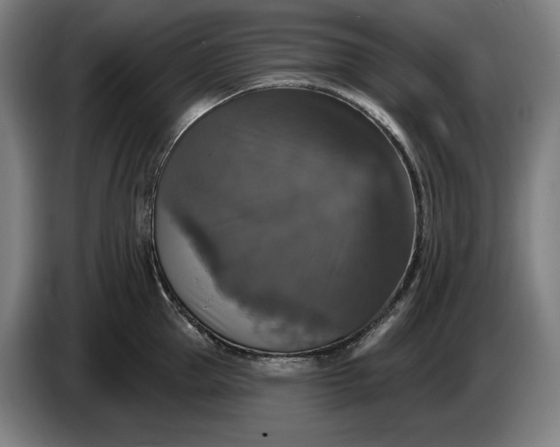 X0000087410953200705041245