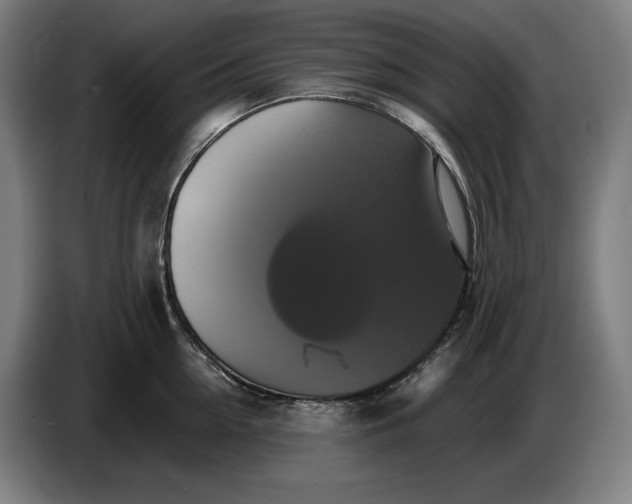 X0000087410954200705041245