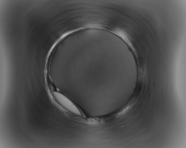 X0000087410955200705041245