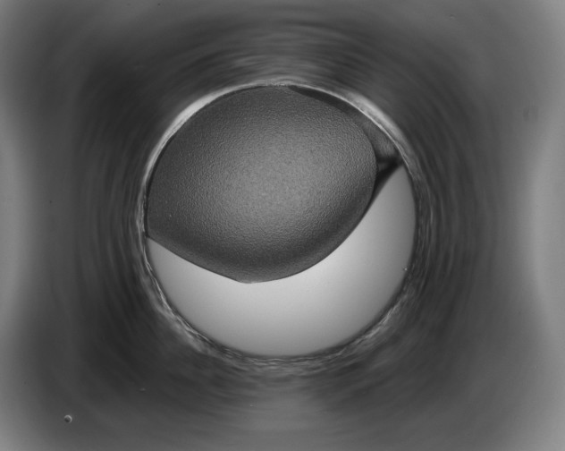 X0000087410956200705041245