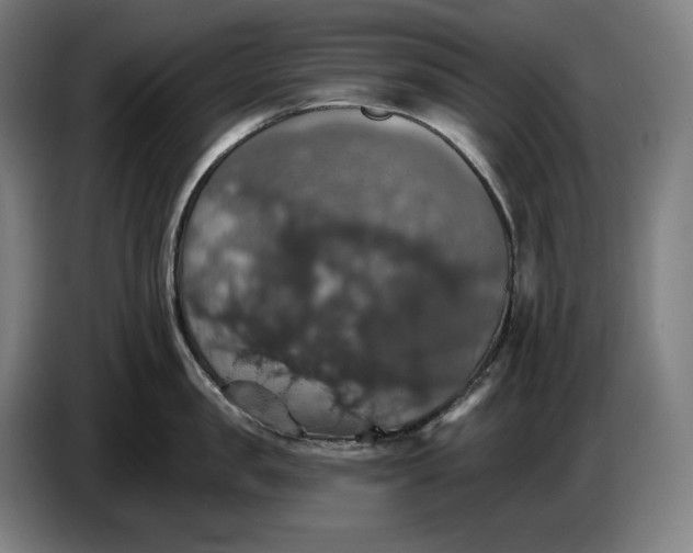 X0000087410957200705041245