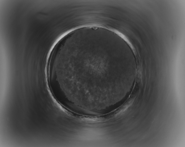 X0000087410959200705041245