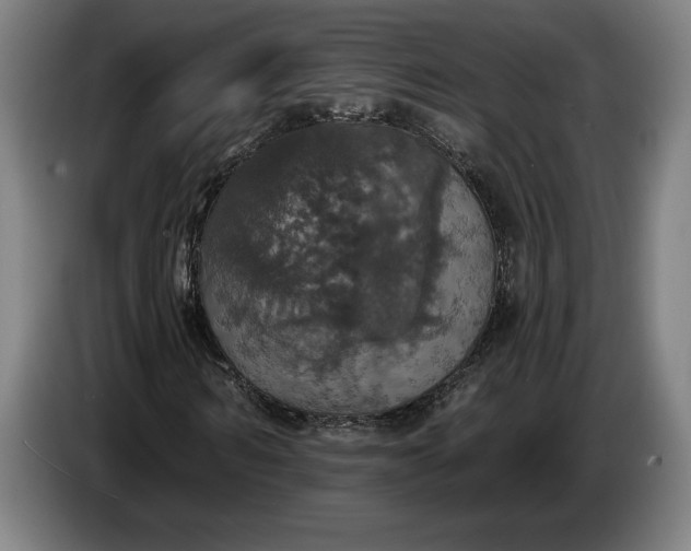 X0000087410962200705041245