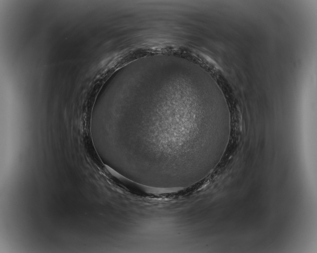 X0000087410965200705041245