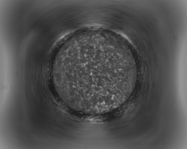 X0000087410967200705041244