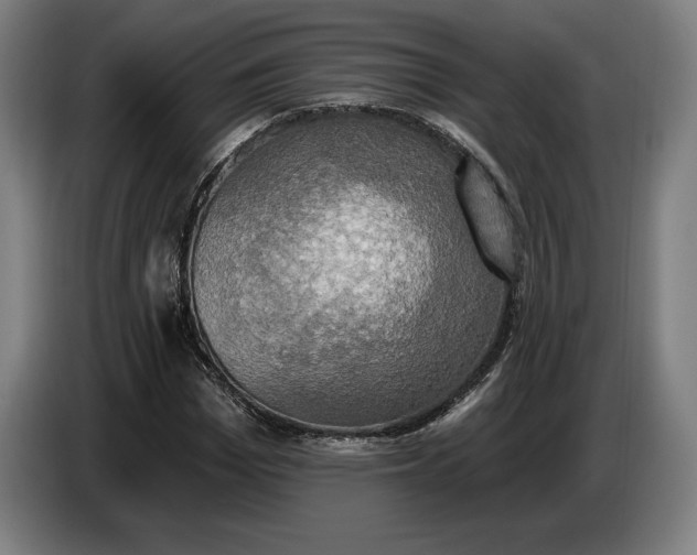 X0000087410969200705041244