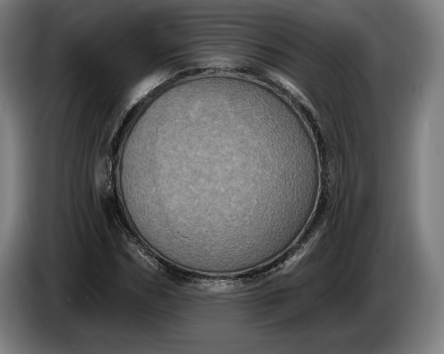 X0000087410970200705041244