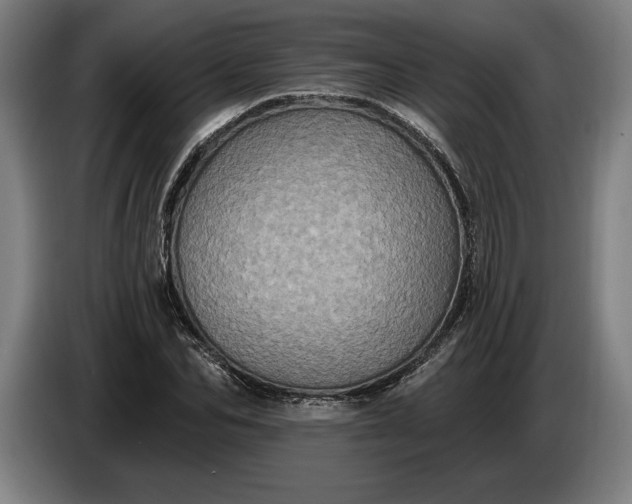 X0000087410974200705041244