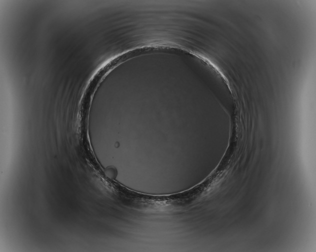 X0000087410975200705041244