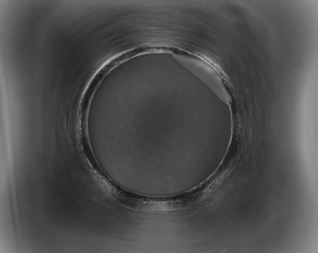 X0000087410976200705041244