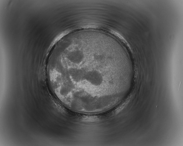 X0000087410978200705041244