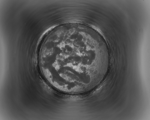 X0000087410979200705041244