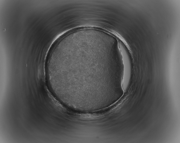 X0000087410980200705041244