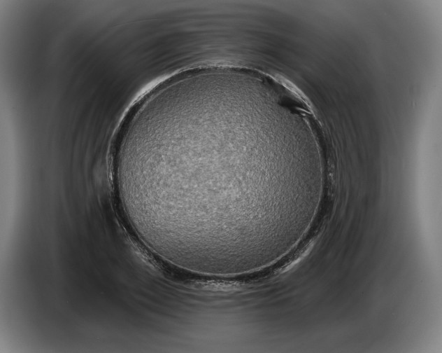 X0000087410981200705041244