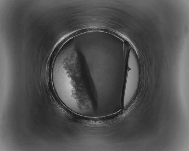 X0000087410983200705041244