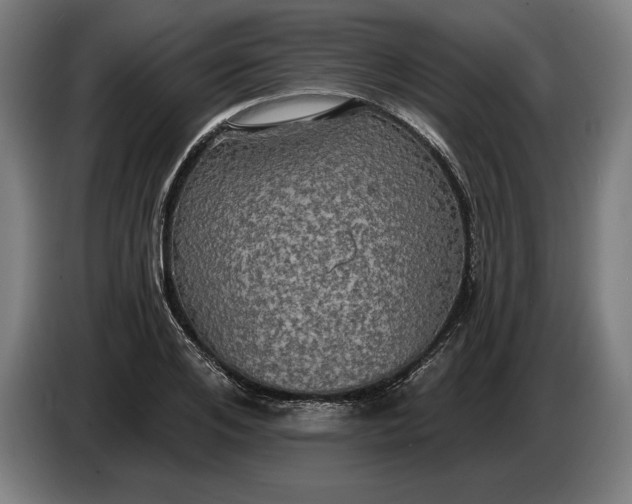 X0000087410984200705041244