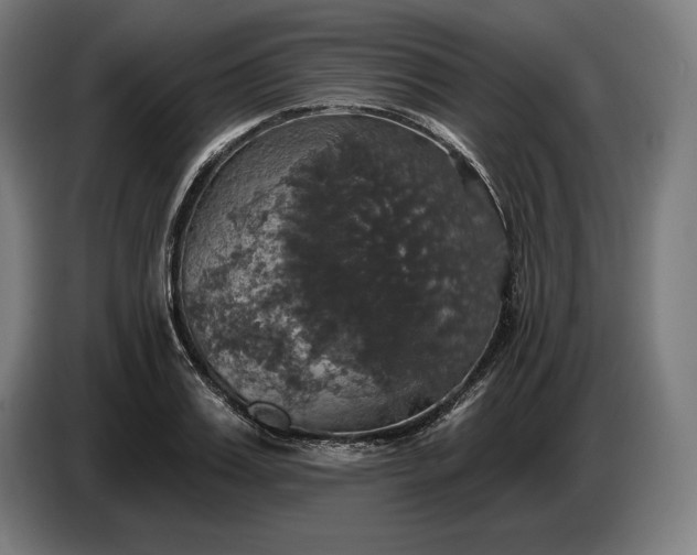 X0000087410987200705041244