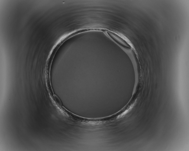 X0000087410989200705041244