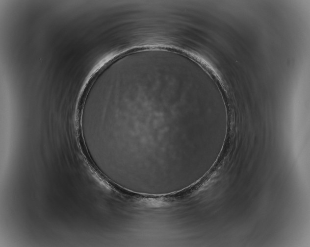 X0000087410990200705041244