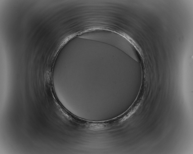 X0000087410993200705041244