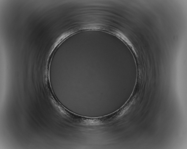 X0000087410994200705041244