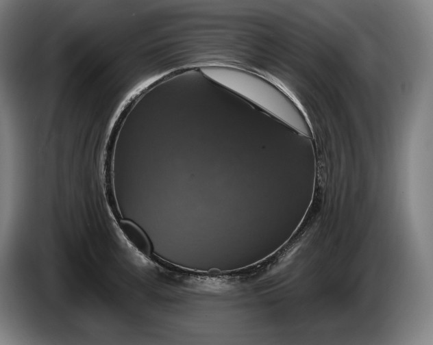 X0000087410995200705041244