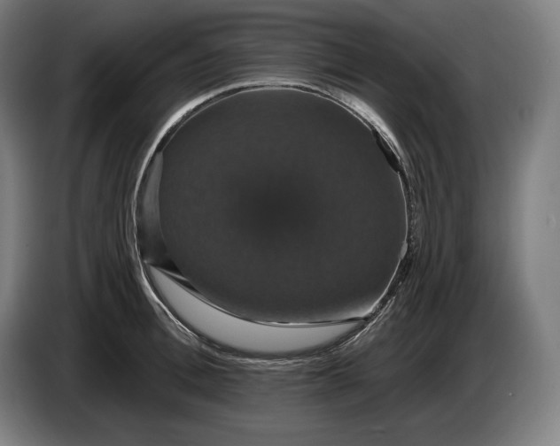 X0000087410996200705041244