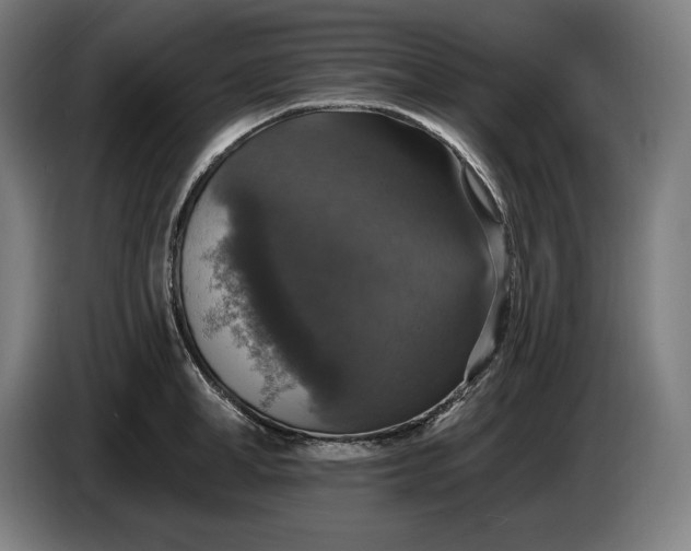 X0000087410998200705041244