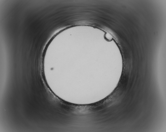 X0000087411000200705041244