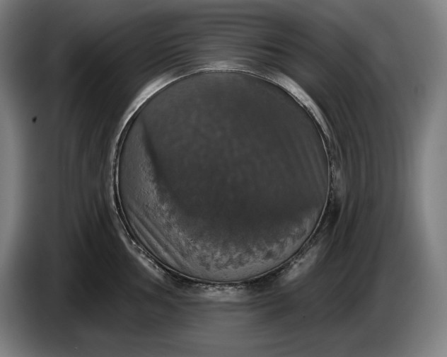 X0000087411002200705041244