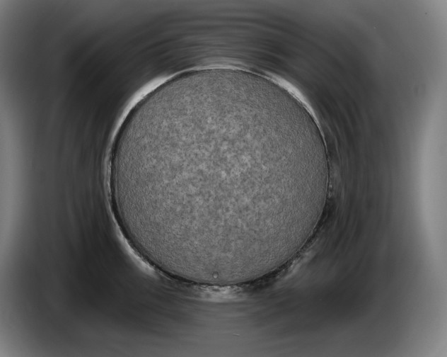 X0000087411003200705041244