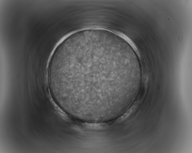 X0000087411004200705041244