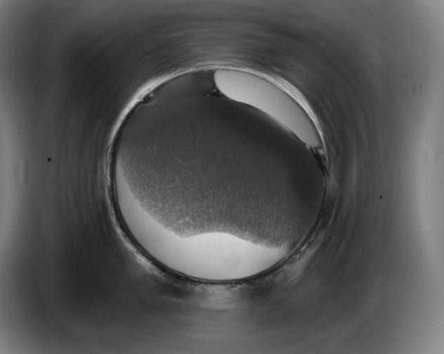 X0000087411005200705041244