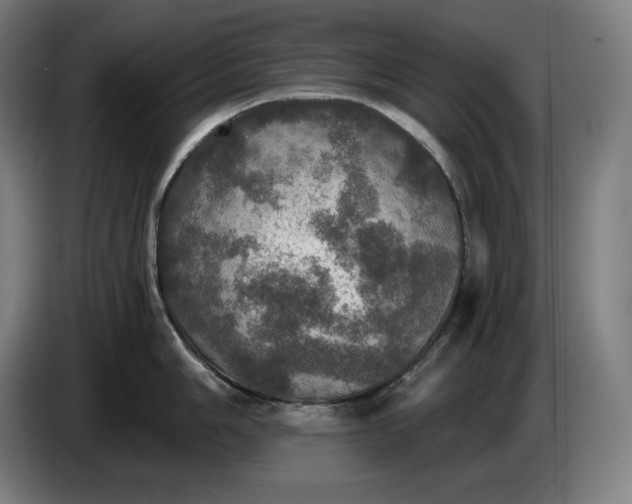 X0000087411006200705041244