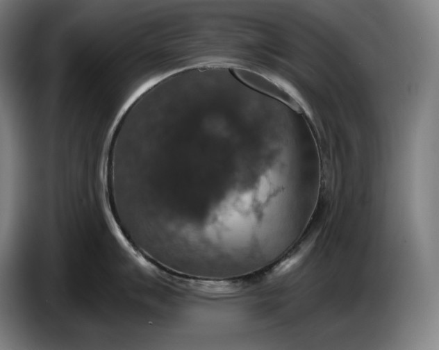 X0000087411007200705041244