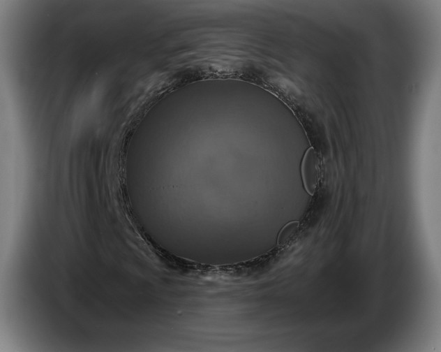 X0000087411009200705041243