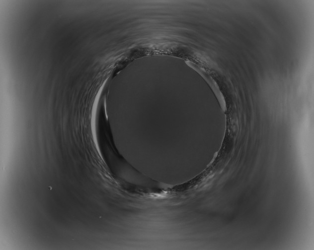 X0000087411010200705041243