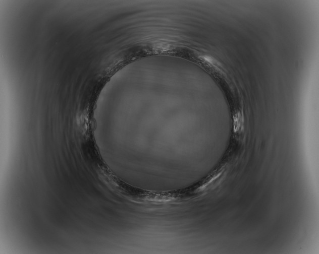 X0000087411011200705041243