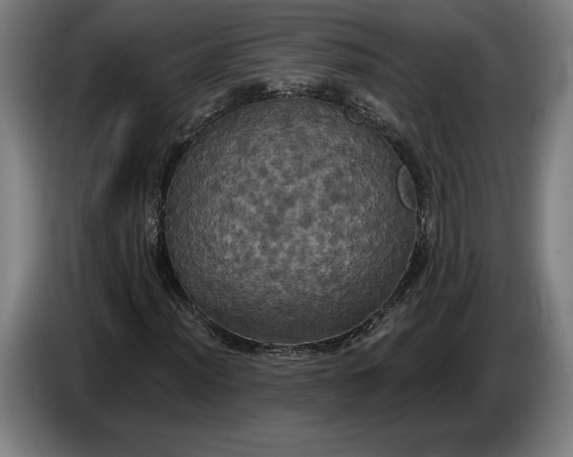 X0000087411012200705041243