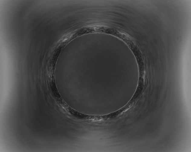 X0000087411014200705041243