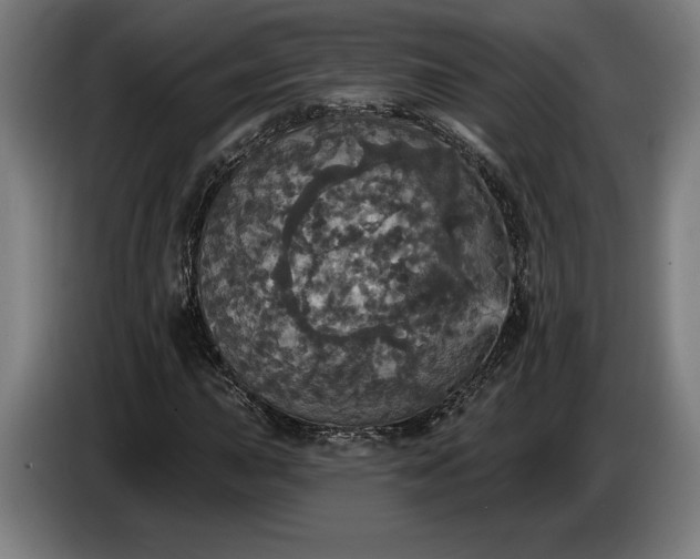 X0000087411015200705041243