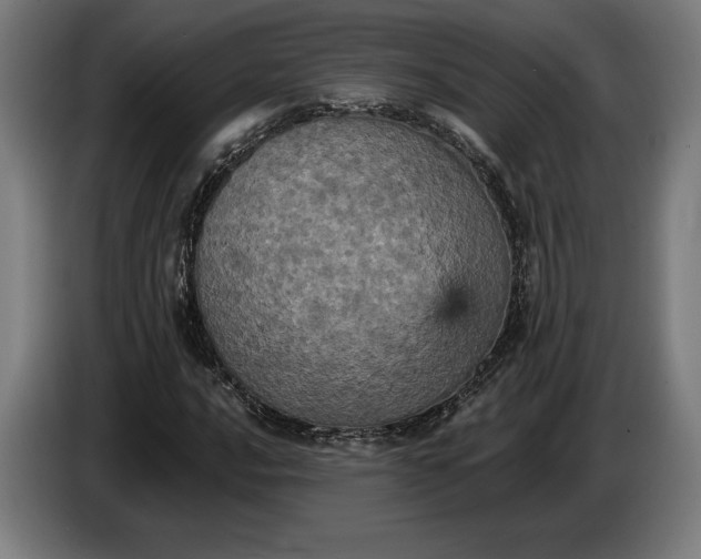 X0000087411016200705041243