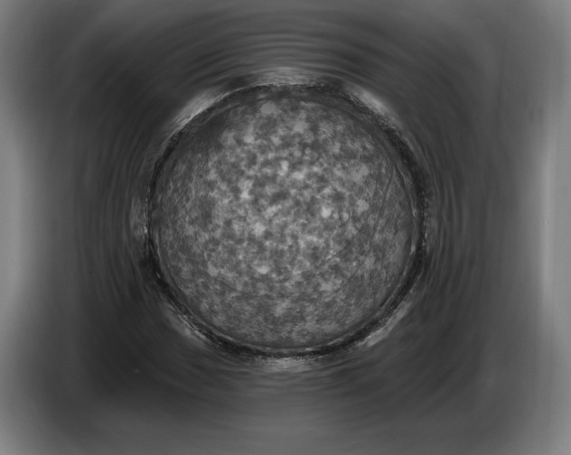 X0000087411017200705041243