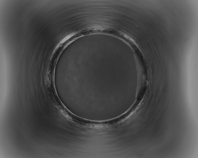 X0000087411018200705041243