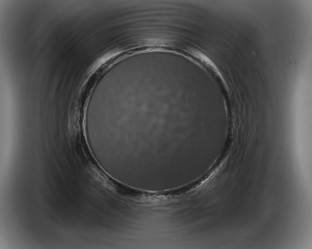 X0000087411019200705041243