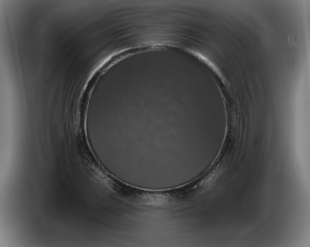 X0000087411023200705041244