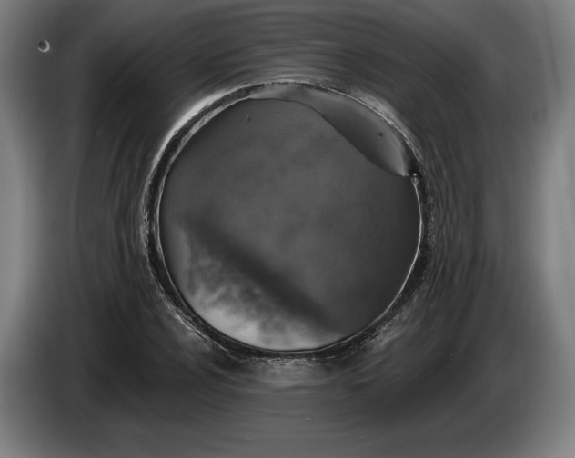 X0000087411024200705041244